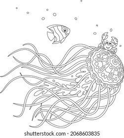 Fancy jellyfish wit long stinging tentacles, a small crab and a striped butterfly fish traveling in a tropical sea, black and white outline vector cartoon illustration for a coloring book page