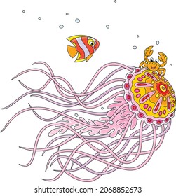 Fancy jellyfish wit long stinging tentacles, a small crab and a striped butterfly fish traveling in a tropical sea, vector cartoon illustration isolated on a white background