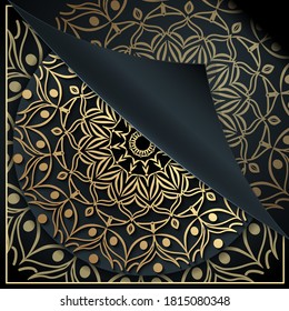 Fancy mandala backdrop for wedding invitation, with book cover paper fold concept. Patterns in Moroccan, Indian, Islamic, Chinese, Nepalese or Arabic Style. Decor