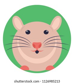 A fancy mouse is a domesticated form of the house mouse, it is also called feeder mice