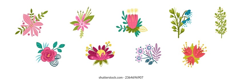 Fancy Shaped Flower Bud and Blossom Vector Set