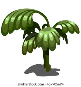 Fancy tropical plant. Vector illustration.