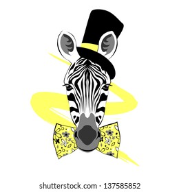 fancy zebra portrait