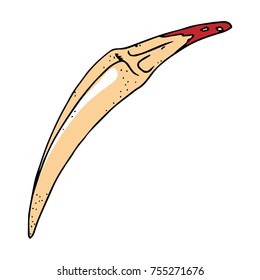 Fang predatory animal. Tooth. Vector illustration.