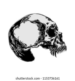 Fang Skull , Illustration Vector