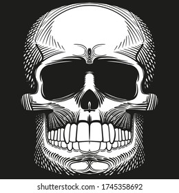 Fanged skull. Black and white drawing. Black background. Avatar