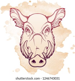 Fanged wild boars head. Mascot of the New Year 2019 according to Chinese zodiac calendar. Linear drawing isolated on textured watercolor background. EPS10 vector illustration