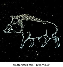 Fanged wild walking. Mascot of the New Year 2019 according to Chinese zodiac calendar. Linear drawing isolated on black starry night textured background. EPS10 vector illustration