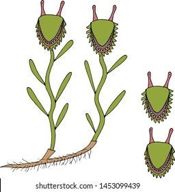 fantastic animated carnivorous flower with the head of a mantis vector illustration
