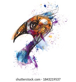 Fantastic bird. Eagle. Animal. Big beak