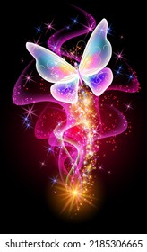 Fantastic butterfly and magical curving transparent waves with glowing stars on night dark background