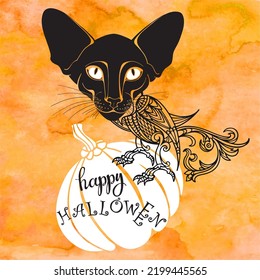 Fantastic cat character sits on a pumpkin. Vector illustration with place for text on orange watercolor background. Halloween  ornament concept. Layout decorative greeting card,  invitation.