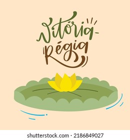 Vitória-Régia. Fantastic  Creature of Brazilian Folklore. Brazilian Portuguese Hand Lettering Calligraphy. Vector. Brazilian legends and tales.