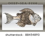  fantastic fishes vector