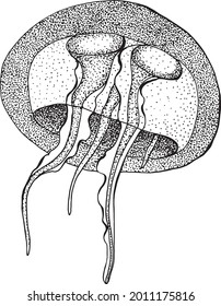 A fantastic jellyfish. Graphics with dots. A marine inhabitant.  Vector.