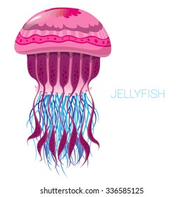 fantastic jellyfish - vector illustrations of marine life for design