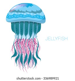 fantastic jellyfish - vector illustrations of marine life for design