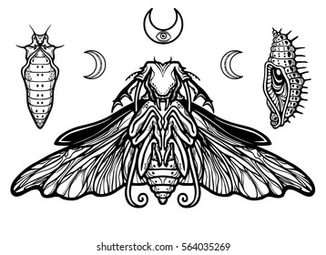 Fantastic larva of an insect. The vector illustration isolated on a white background. Print, posters, t-shirt, card.