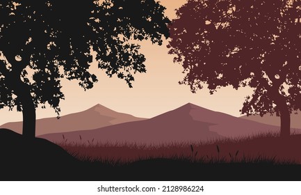 A fantastic mountain view with the silhouette of pine trees at dusk from the countryside