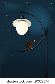 fantastic parrot at night on a lantern