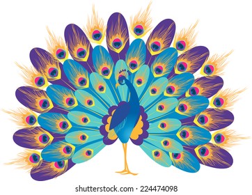 Fantastic Peacock Stock Vector (Royalty Free) 224474098 | Shutterstock