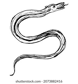 Fantastic snake, serpent or dragon. Medieval animal art. Isolated vector illustration. Hand drawn linear doodle rough sketch. Black silhouette on white background.