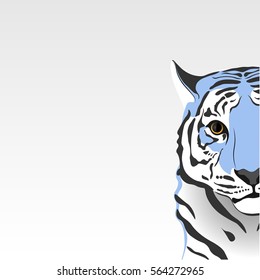 Fantastic tiger.
