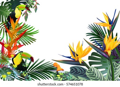 fantastic tropical forest with exotic birds, flowers, leaves, vines: toucan, Strelitzia, Gloriosa, Andean cock-of-the-rock.Vector illustration