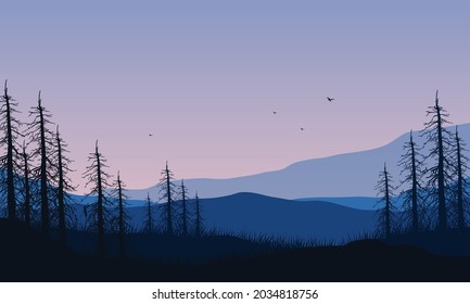 A fantastic view of the mountains with pine tree silhouettes from the countryside at dusk. Vector illustration of a city