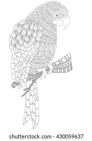 Fantastical Bird coloring book. Amazing parrot with feathers and patterns and plumage. Black and white. Beautiful and Fun Image to Color In. Indian, tribal, parrot, zentangle patterns. 