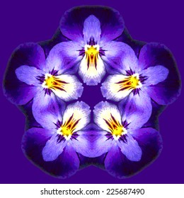 Fantasy beautiful pattern of purple flowers