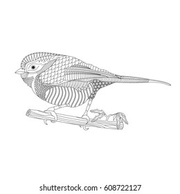 Fantasy bird on a branch. Coloring book for adults and children. Black and white vector illustration. Stylized tropical bird in the style of doodle and zen doodle.