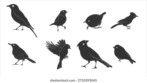 Fantasy Birds Vector Pack  Mythical  Abstract Designs.