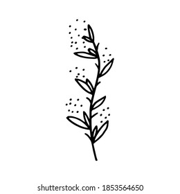 Fantasy decorative leaf with various patterns. Hand drawn doodle illustration