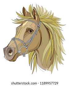 Fantasy drawing of head of cute horse with a flowing mane on white background. Hand-drawn vector image.