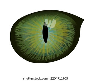 Fantasy eye. Iris pupils design. Cat or snake eyes. Colorful vector illustration.