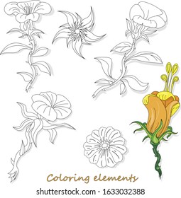 Fantasy flower elements illustration set on white isolated. Vector image. Coloring page.
