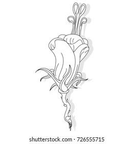 Fantasy flower illustration set on white isolated