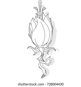 Fantasy flower illustration set on white isolated