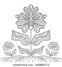 Fantasy flower with leaves and geometric patterns, small plants on white isolated background. For coloring book pages.