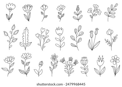 Fantasy flowers set.  Hand drawn vector doodle illustration black outline. Isolated elements, great for coloring