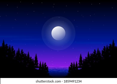 Fantasy forest landscape with night sky illustration