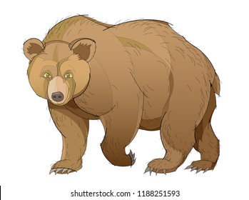 Fantasy illustration of cute brown bear on white background. Hand-drawn vector image.