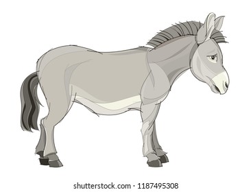 Fantasy illustration of cute domestic donkey on white background. Hand-drawn vector image.
