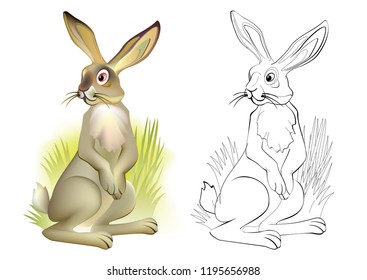 Fantasy illustration of cute fairyland hare. Colorful and black and white pattern for coloring. Worksheet for children and adults. Vector cartoon image.