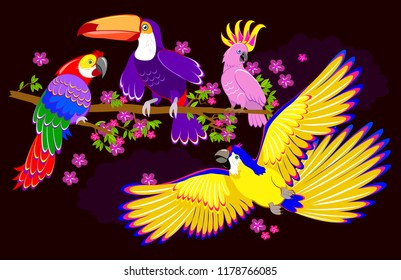 Fantasy illustration of cute fairyland parrots on dark background. Modern print. Vector cartoon image.