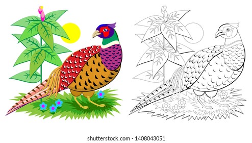 Fantasy illustration of cute pheasant with bright feathering. Colorful and black and white page for coloring book for kids. Printable worksheet for children. Vector cartoon image.