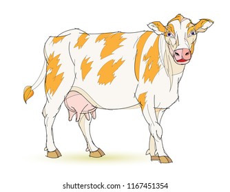 Fantasy illustration of cute standing cow on white background. Hand-drawn vector image.