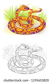 Fantasy illustration of fairyland royal python. Colorful and black and white pattern for coloring. Worksheet for children and adults. Vector cartoon image.
