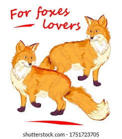 Fantasy illustration of two cute red foxes on white background. Kids book cover. Modern print for fashionable fabric, textile, decoration, embroidery. For foxes lovers. Hand-drawn vector of animal.
